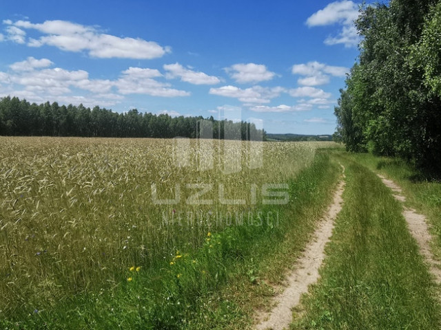 Działka Leśna pod Camping mobilny domek