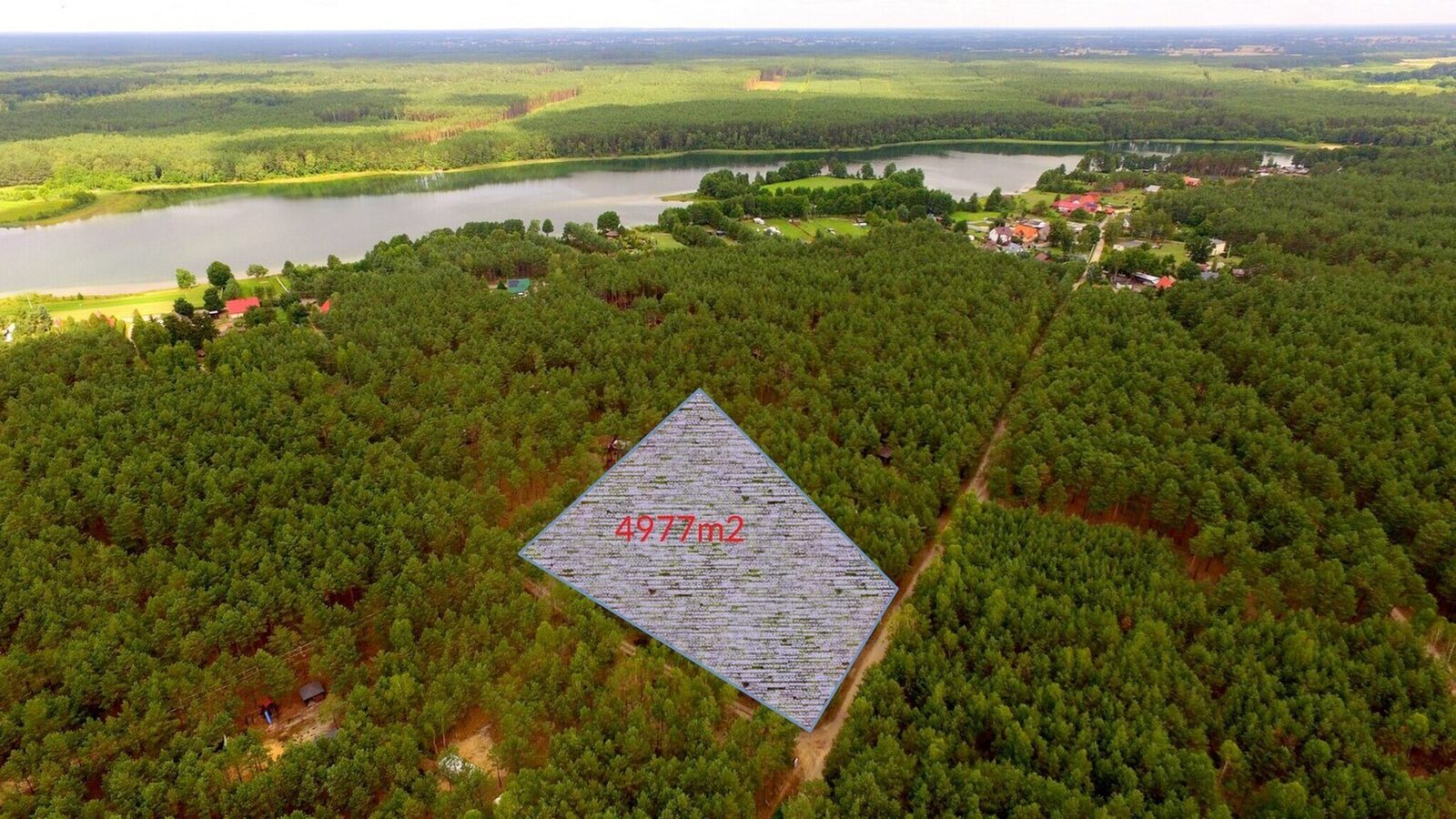 Zdjęcie 1