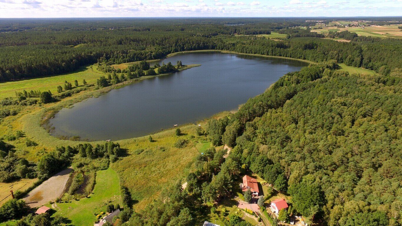 Zdjęcie 5