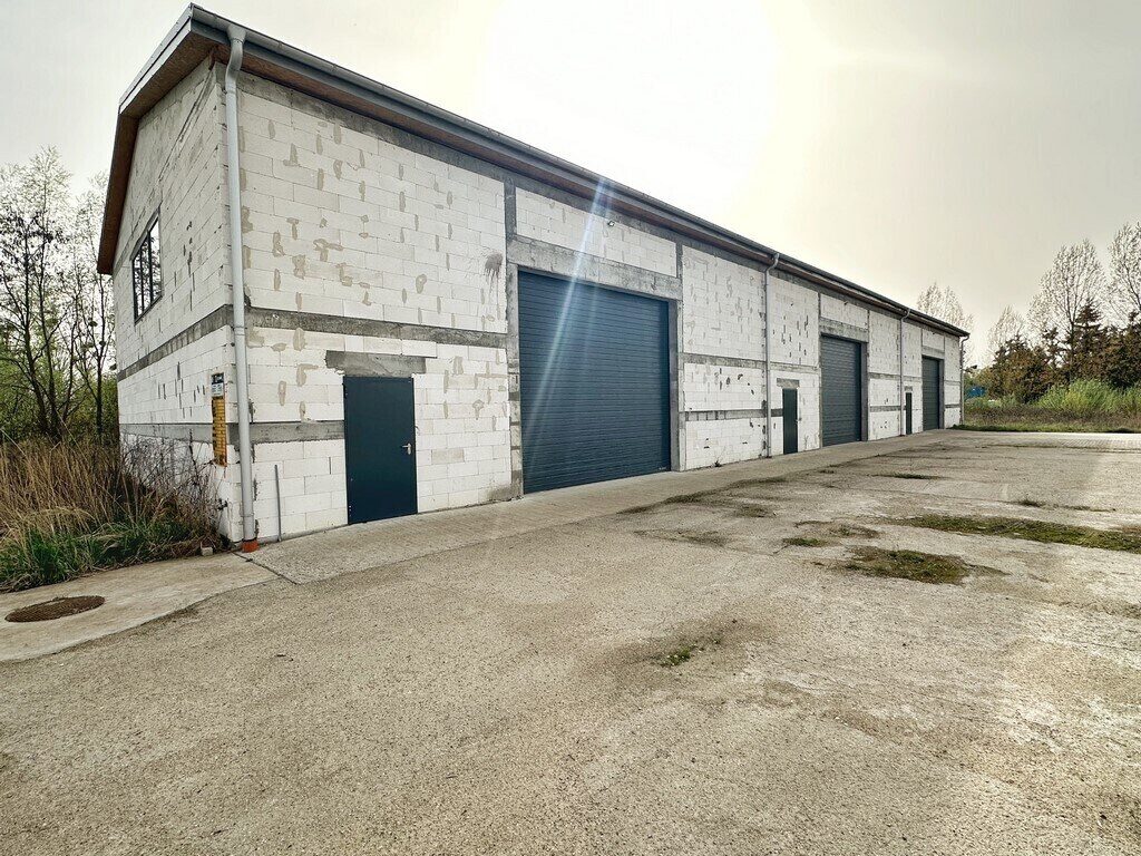 Zdjęcie 12
