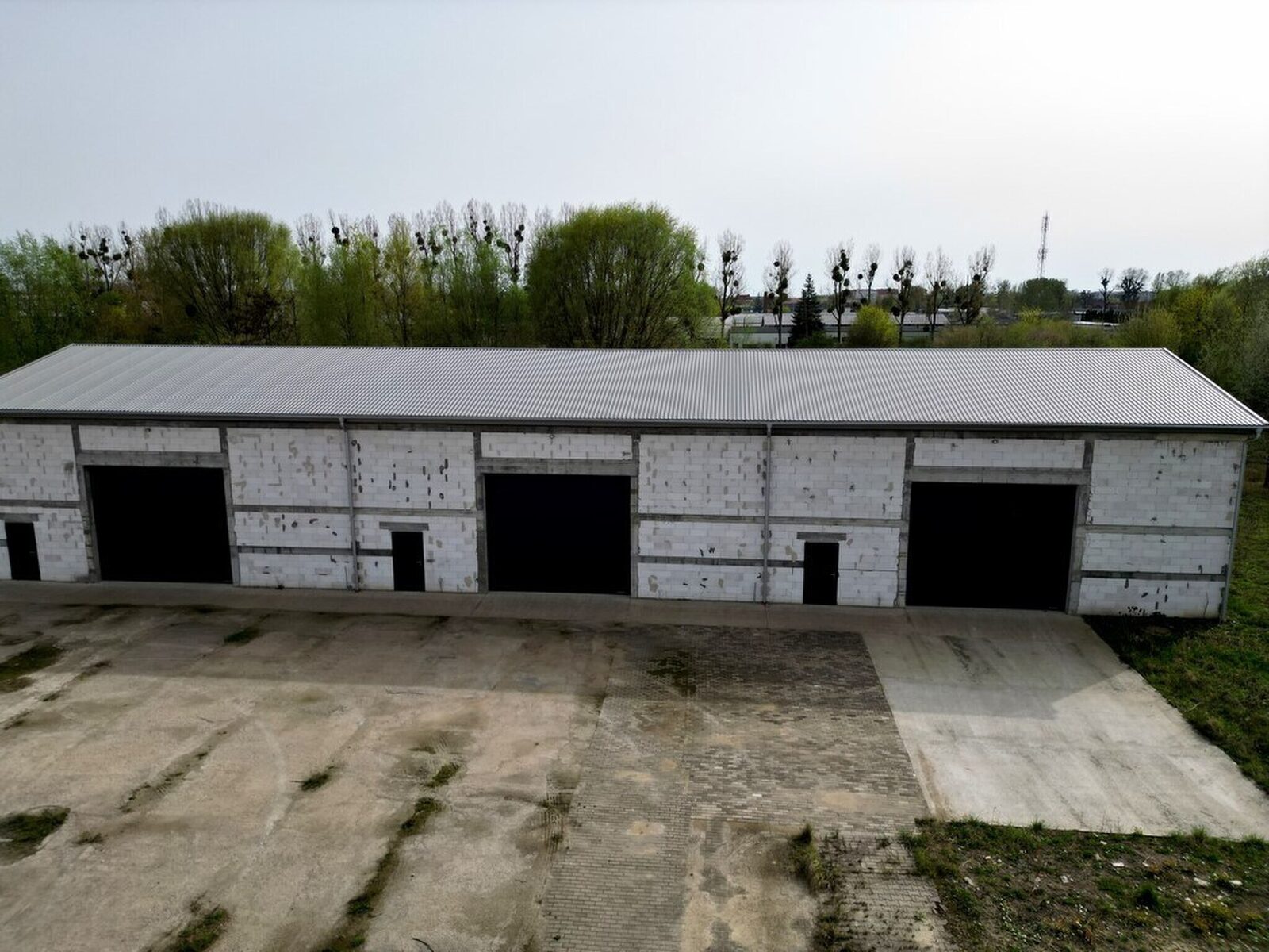 Zdjęcie 14