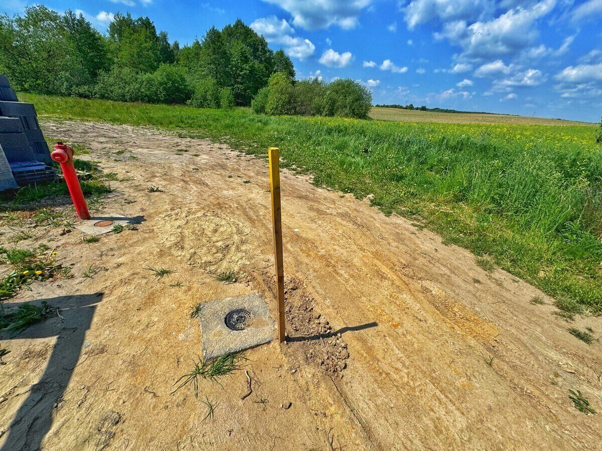 Zdjęcie 12