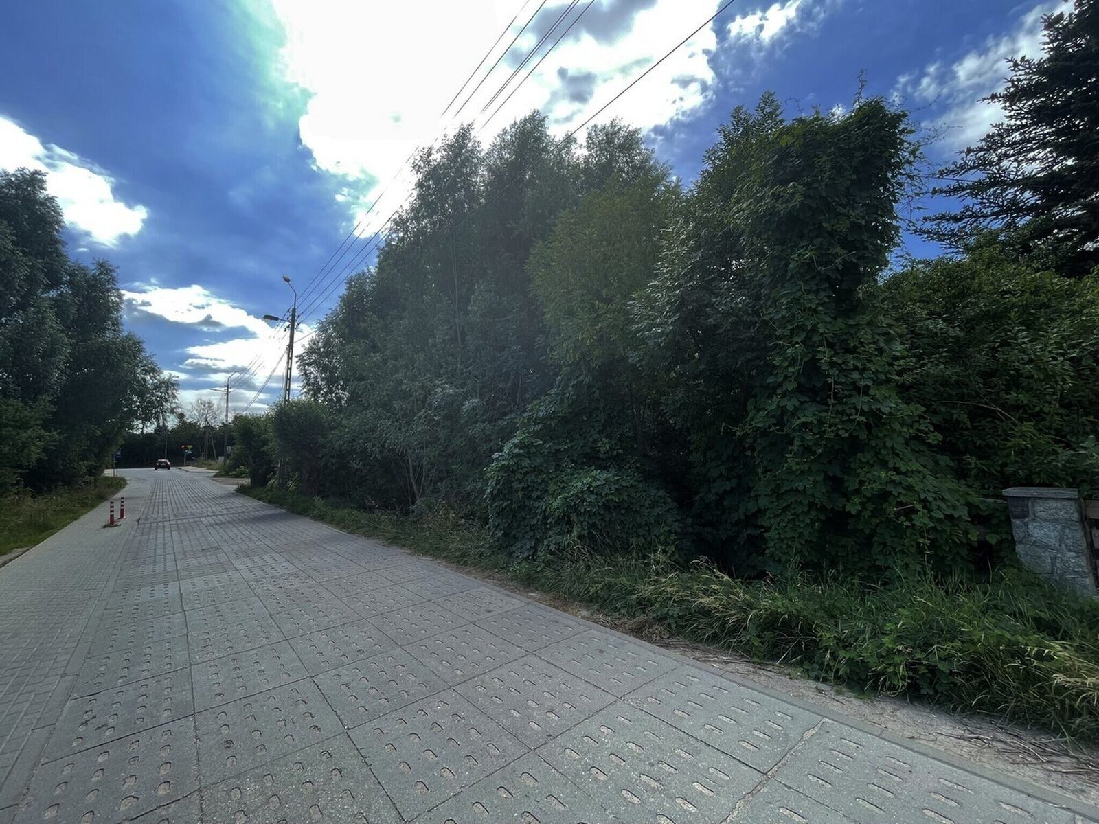 Zdjęcie 6