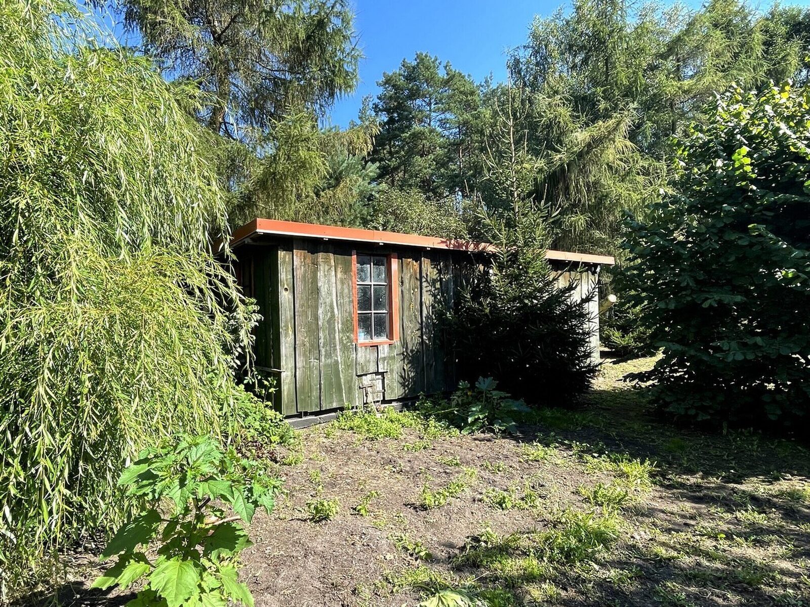 Zdjęcie 14