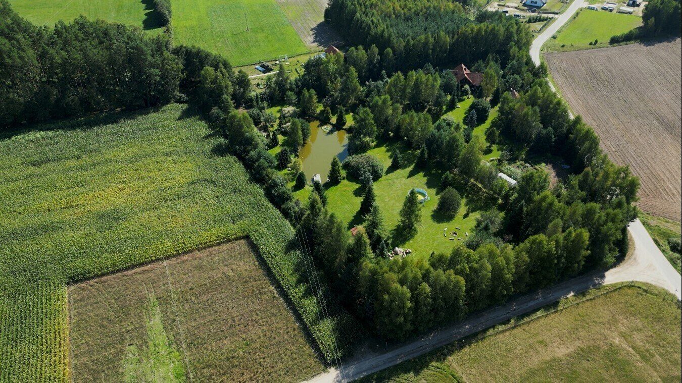 Zdjęcie 15