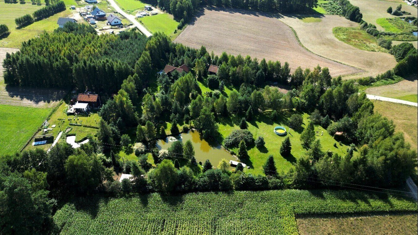 Zdjęcie 16