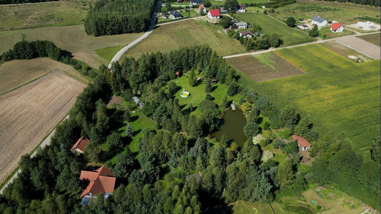 Zdjęcie 17