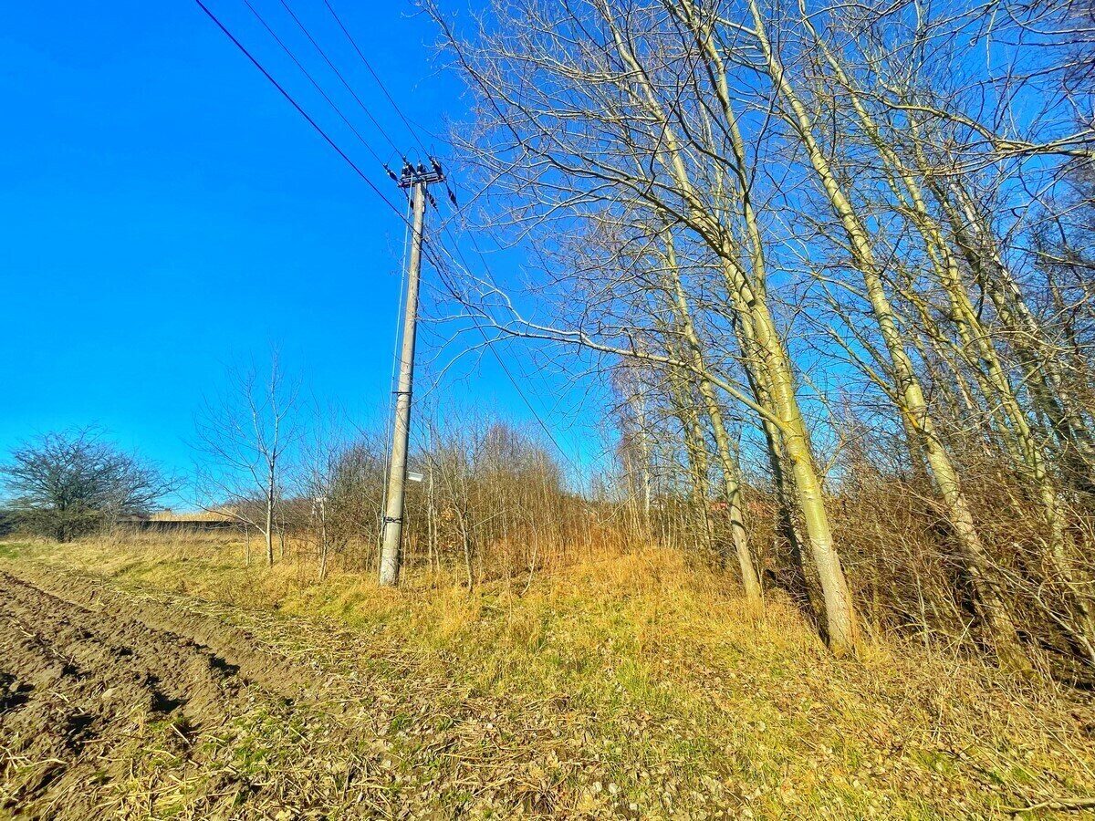 Zdjęcie 11