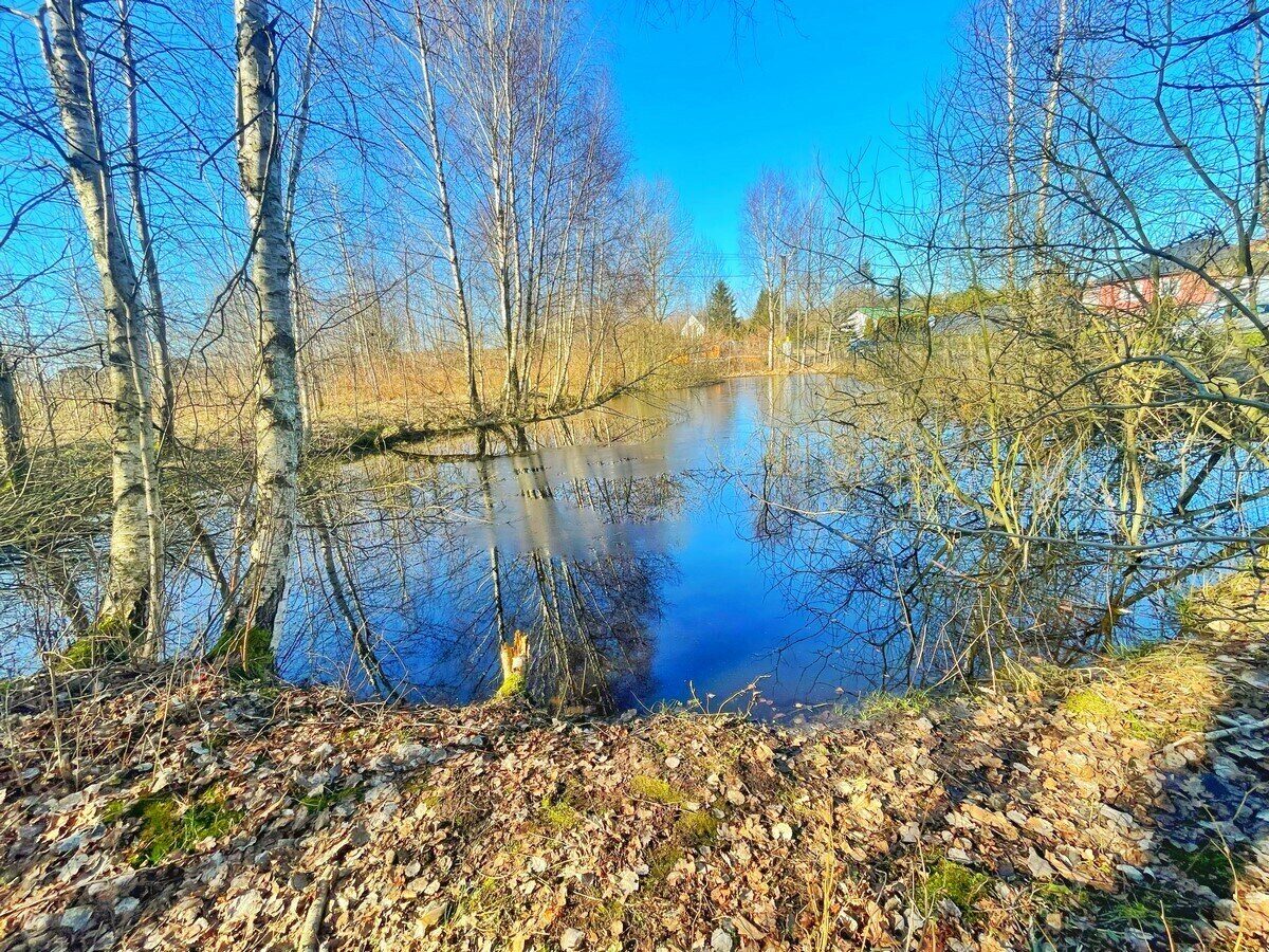 Zdjęcie 12