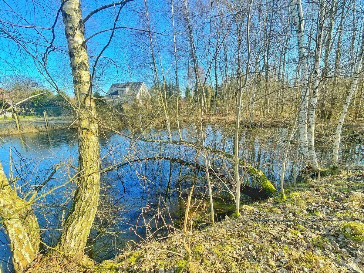 Zdjęcie 13