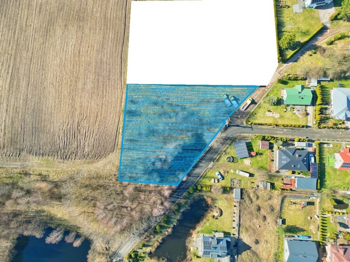 Zdjęcie 15