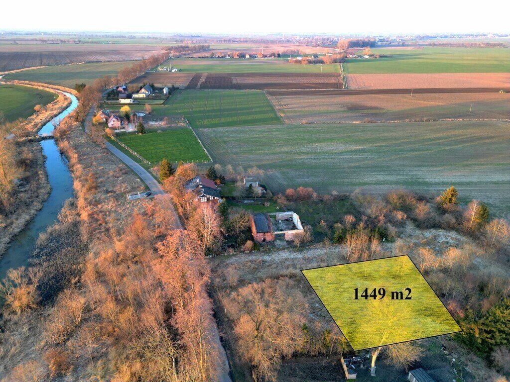 Zdjęcie 1