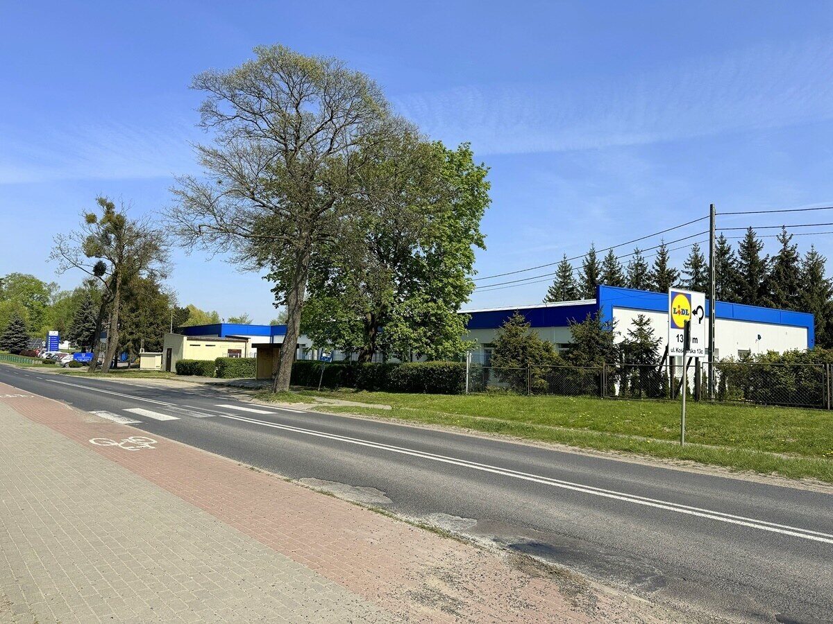 Zdjęcie 8