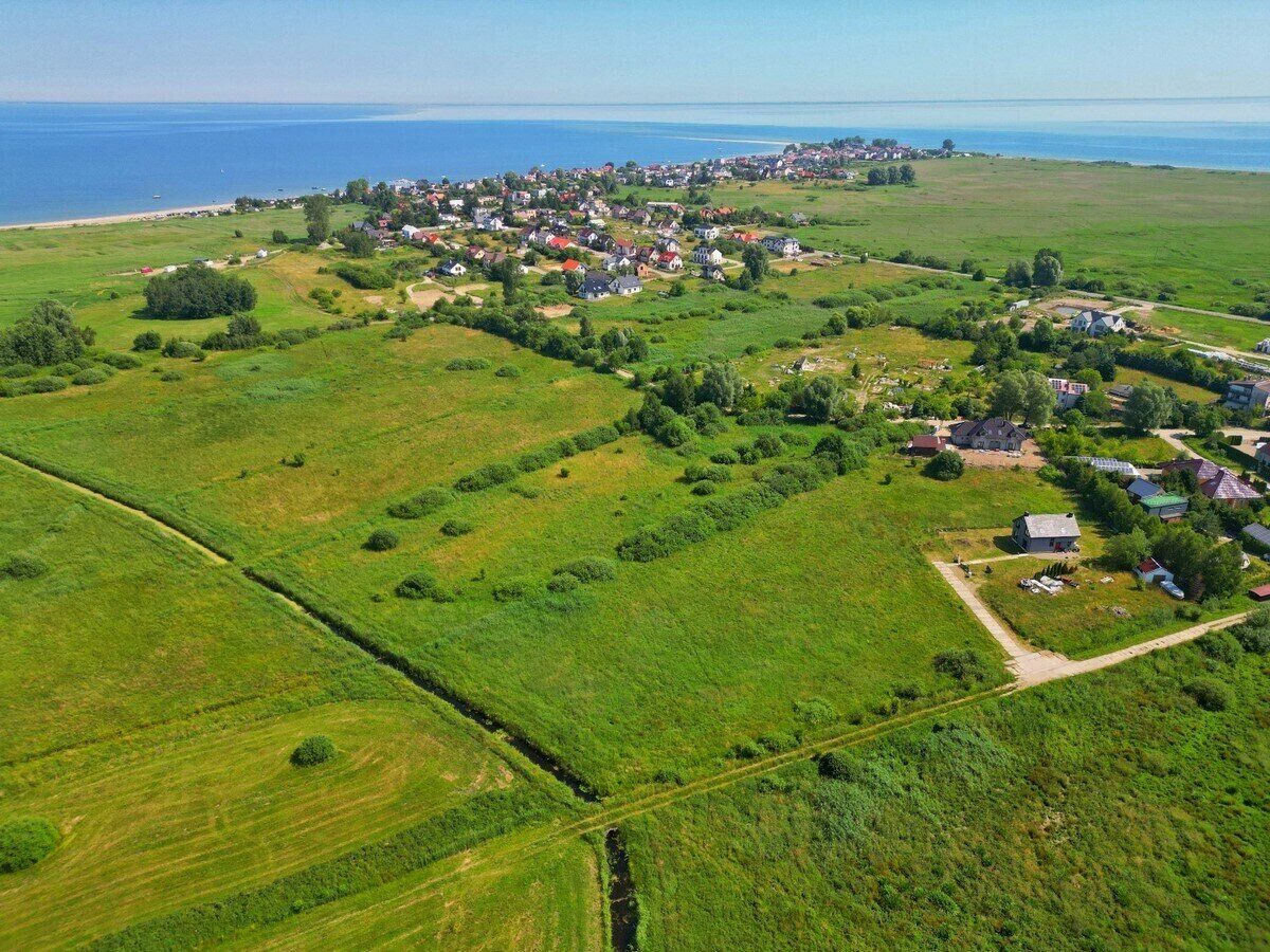 Zdjęcie 1