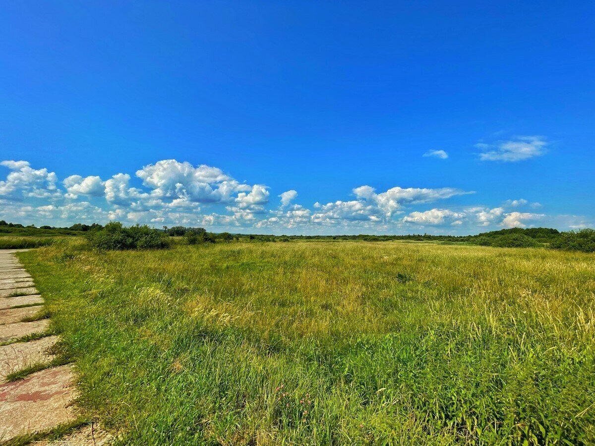 Zdjęcie 10