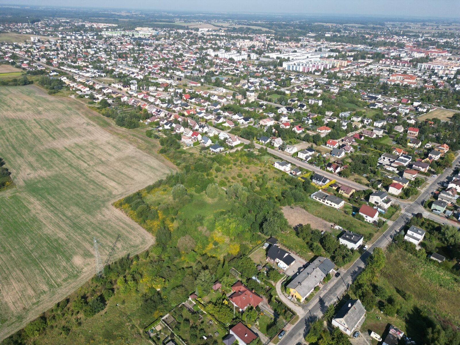 Zdjęcie 9