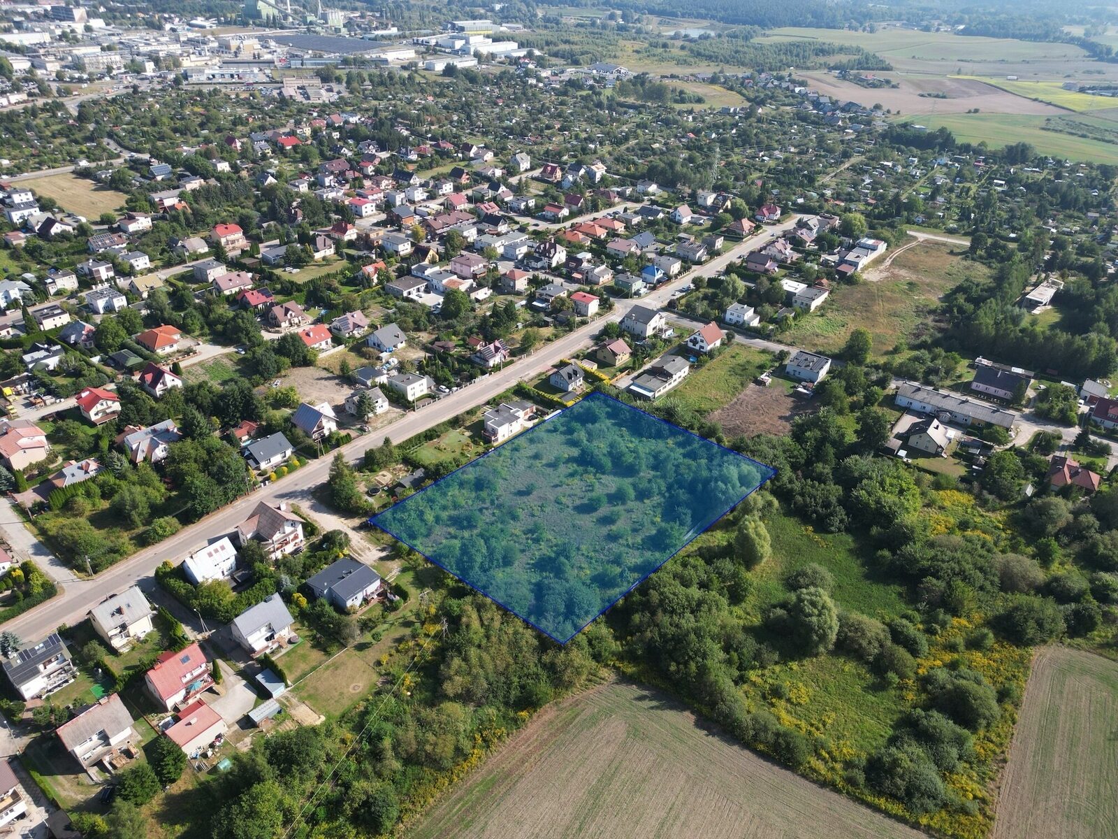Zdjęcie 8