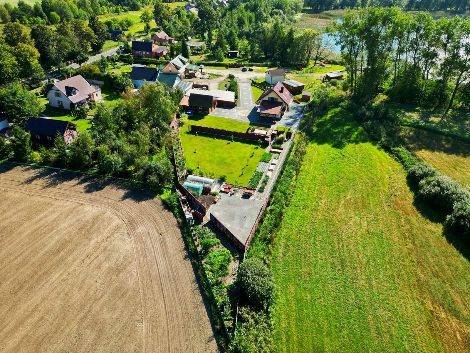 Zdjęcie 31