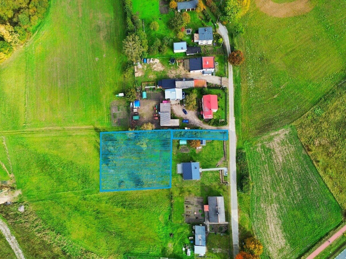 Zdjęcie 7