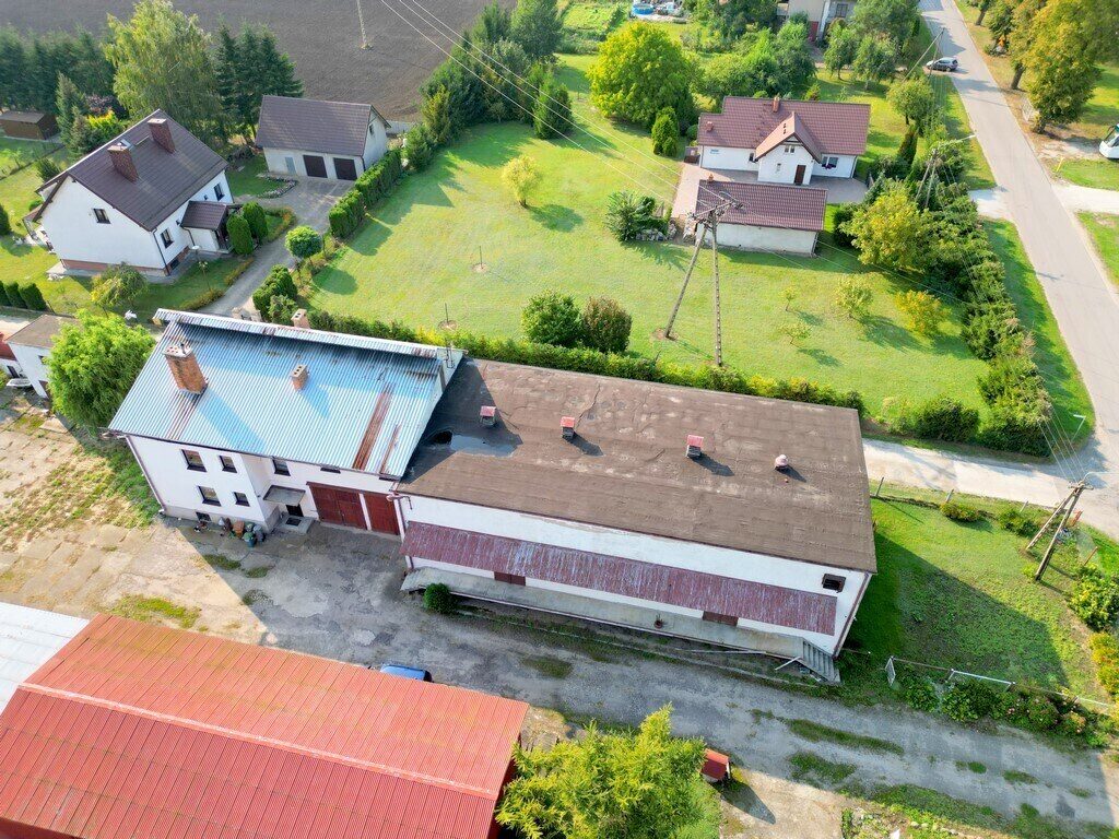 Zdjęcie 9