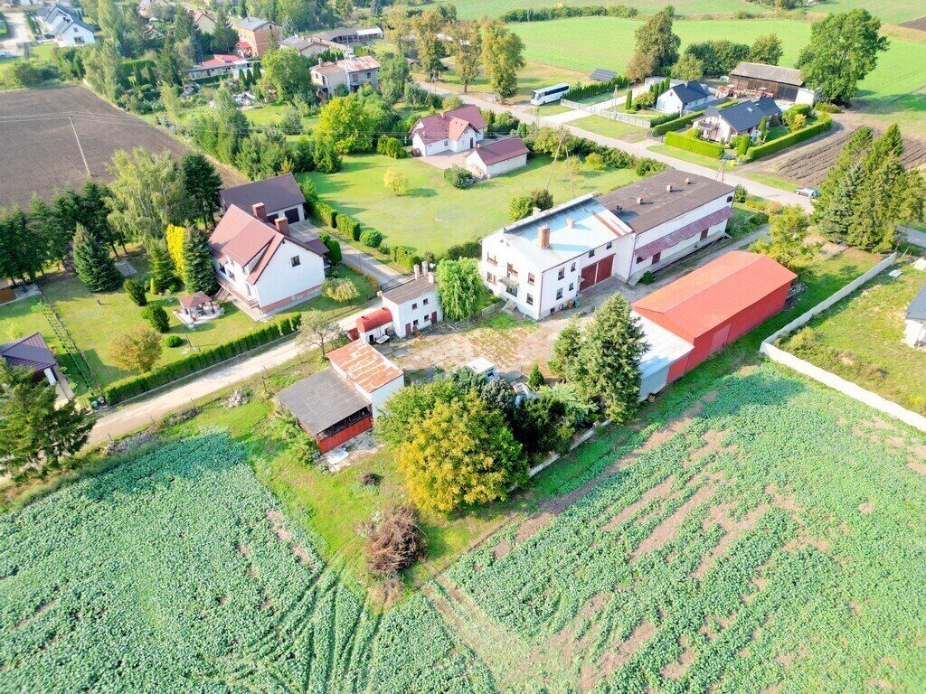 Zdjęcie 10