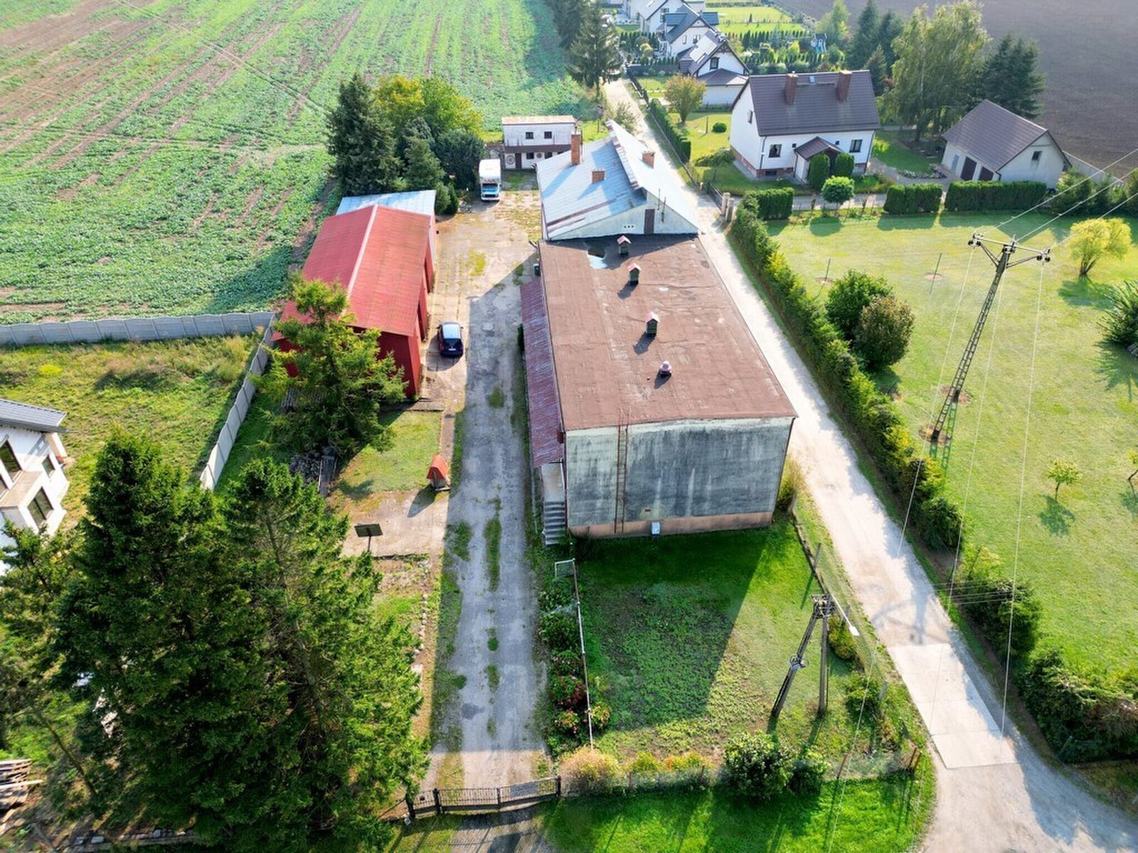 Zdjęcie 14