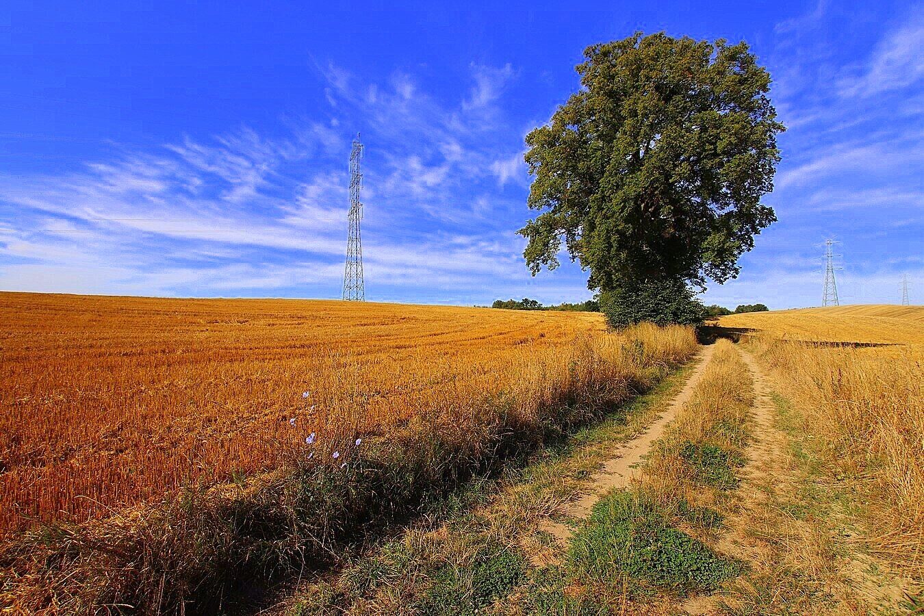 Zdjęcie 14