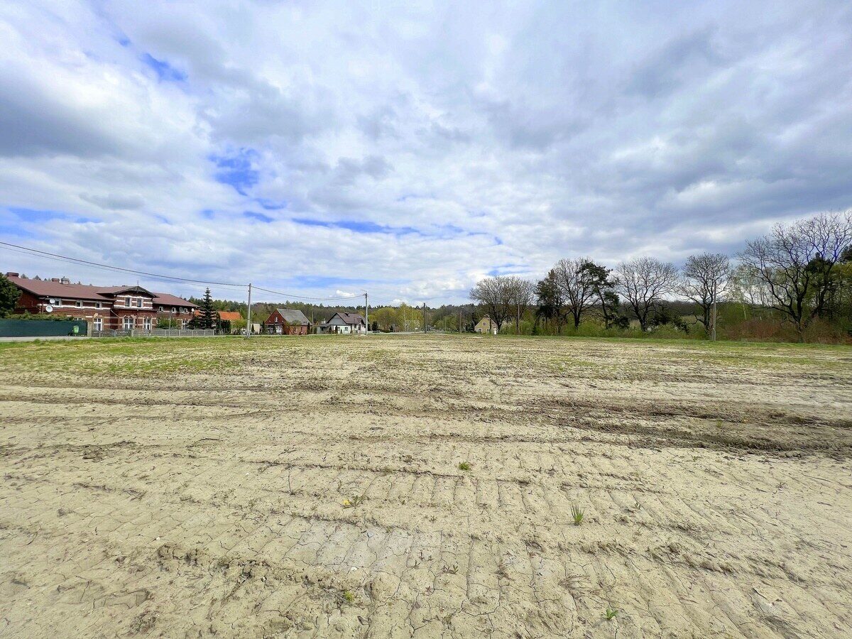 Zdjęcie 13