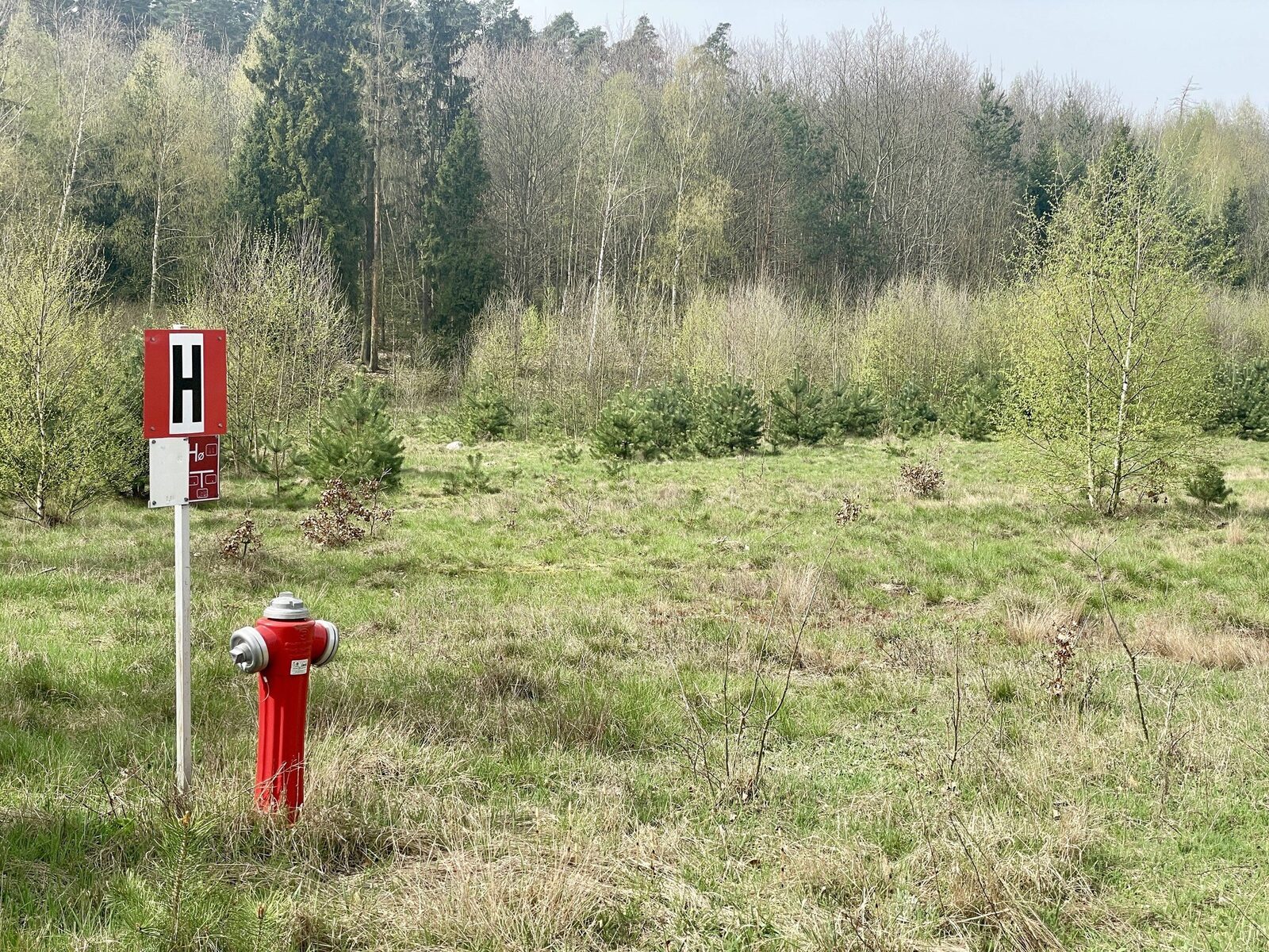 Zdjęcie 10