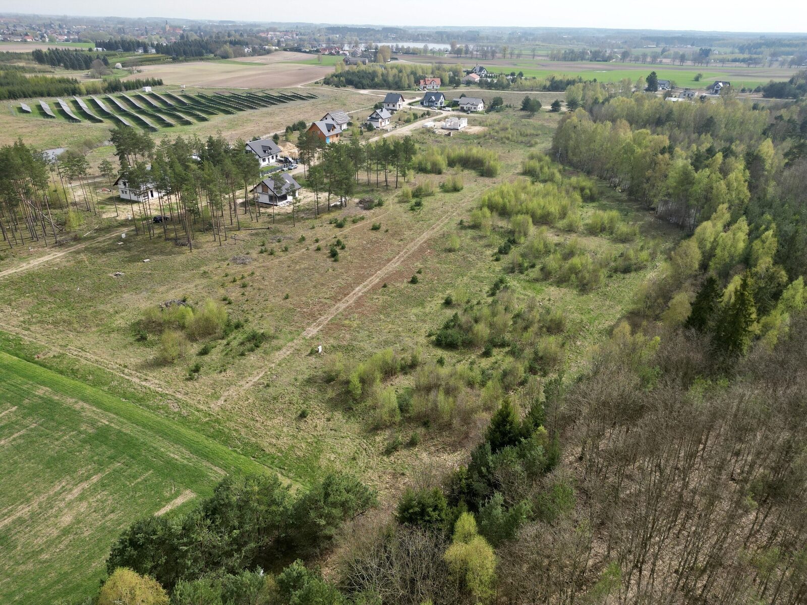 Zdjęcie 11