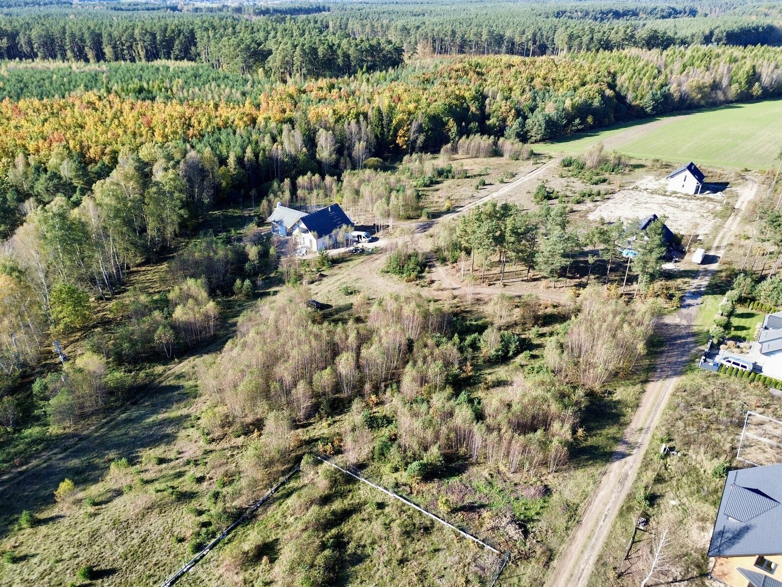 Zdjęcie 17