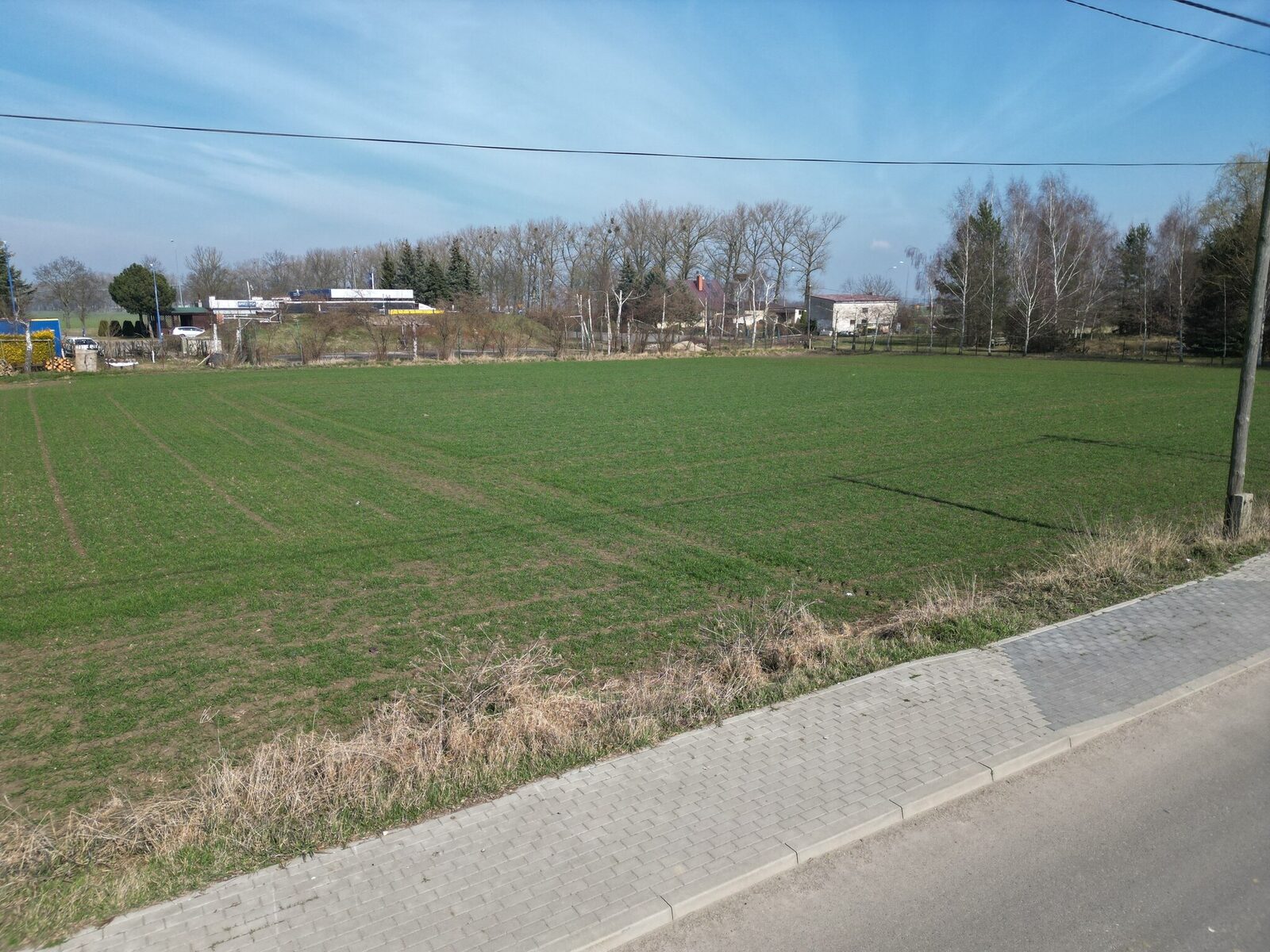 Zdjęcie 7