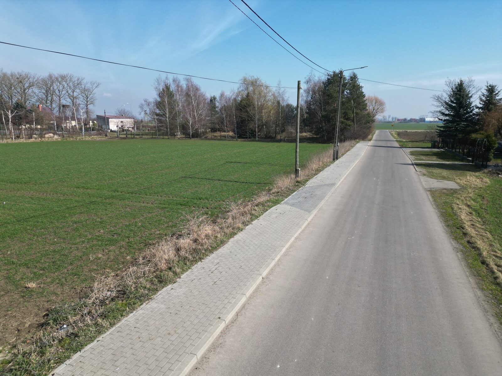 Zdjęcie 8