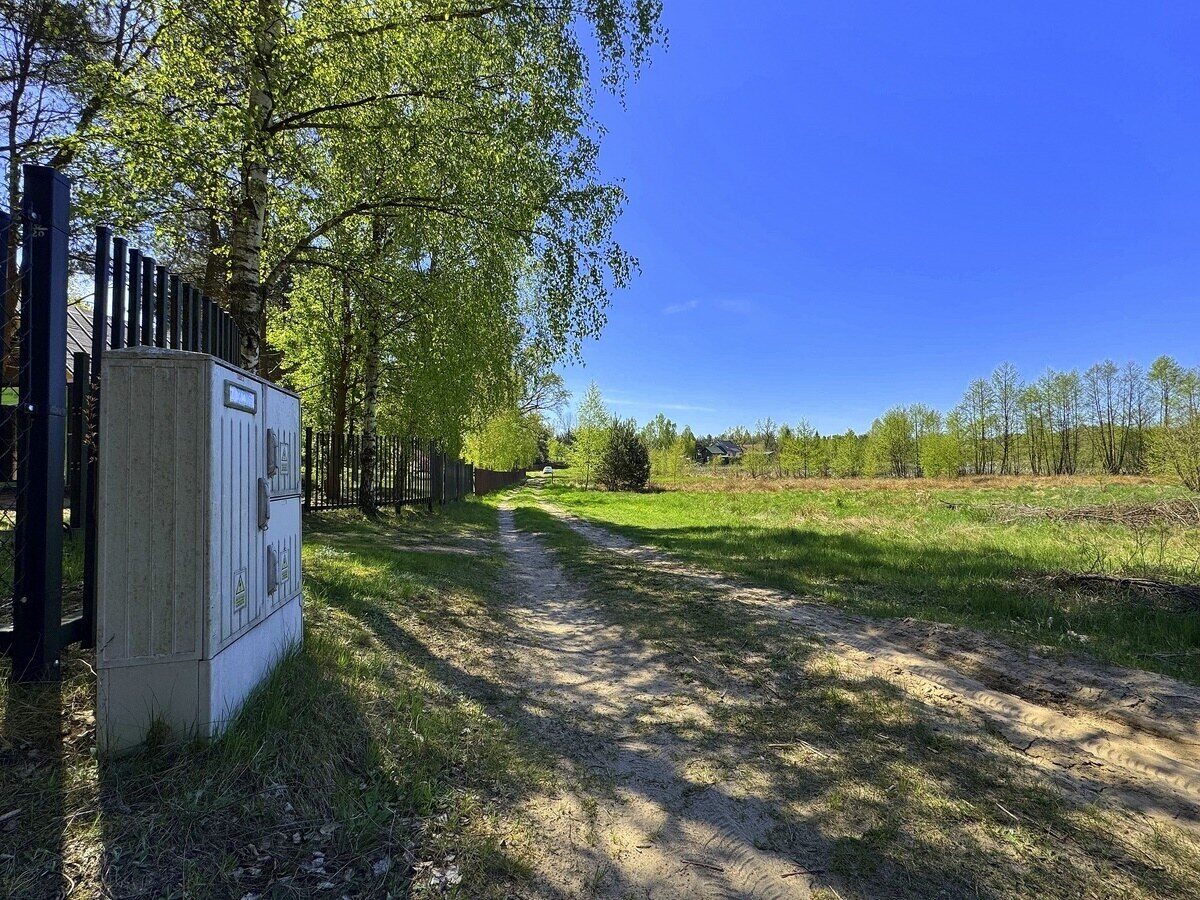 Zdjęcie 12