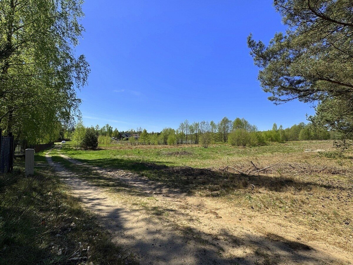 Zdjęcie 13