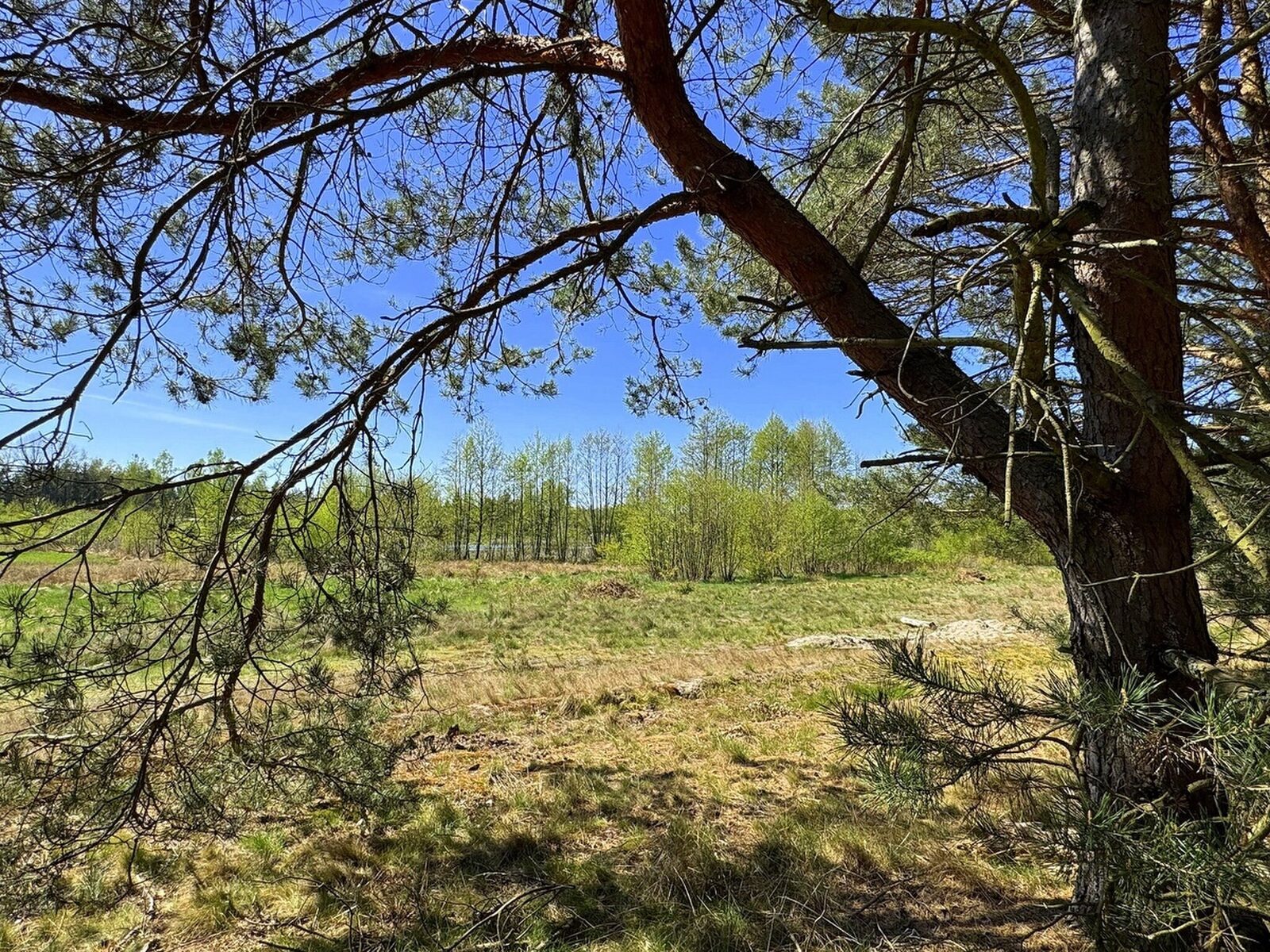 Zdjęcie 19