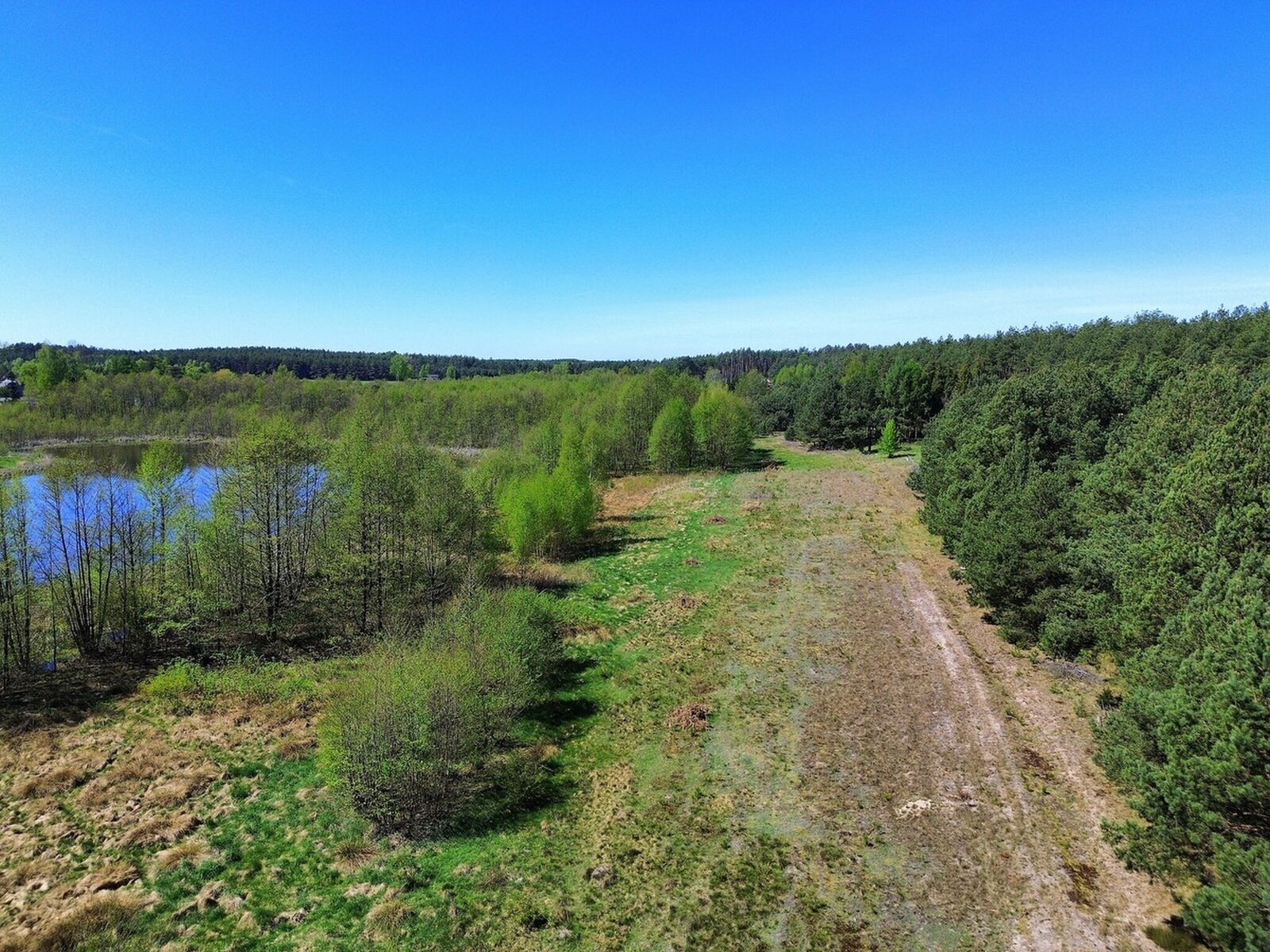 Zdjęcie 23