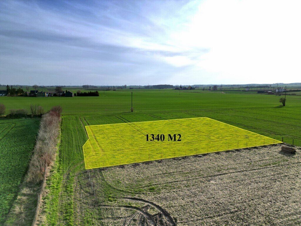 Zdjęcie 3