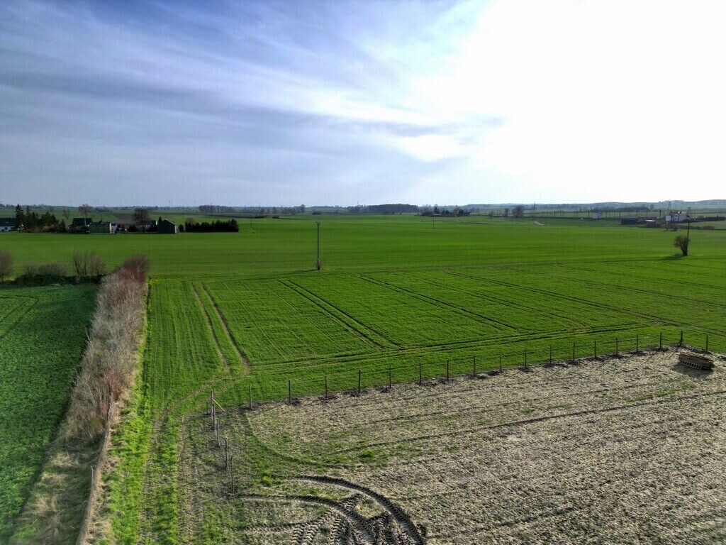 Zdjęcie 5