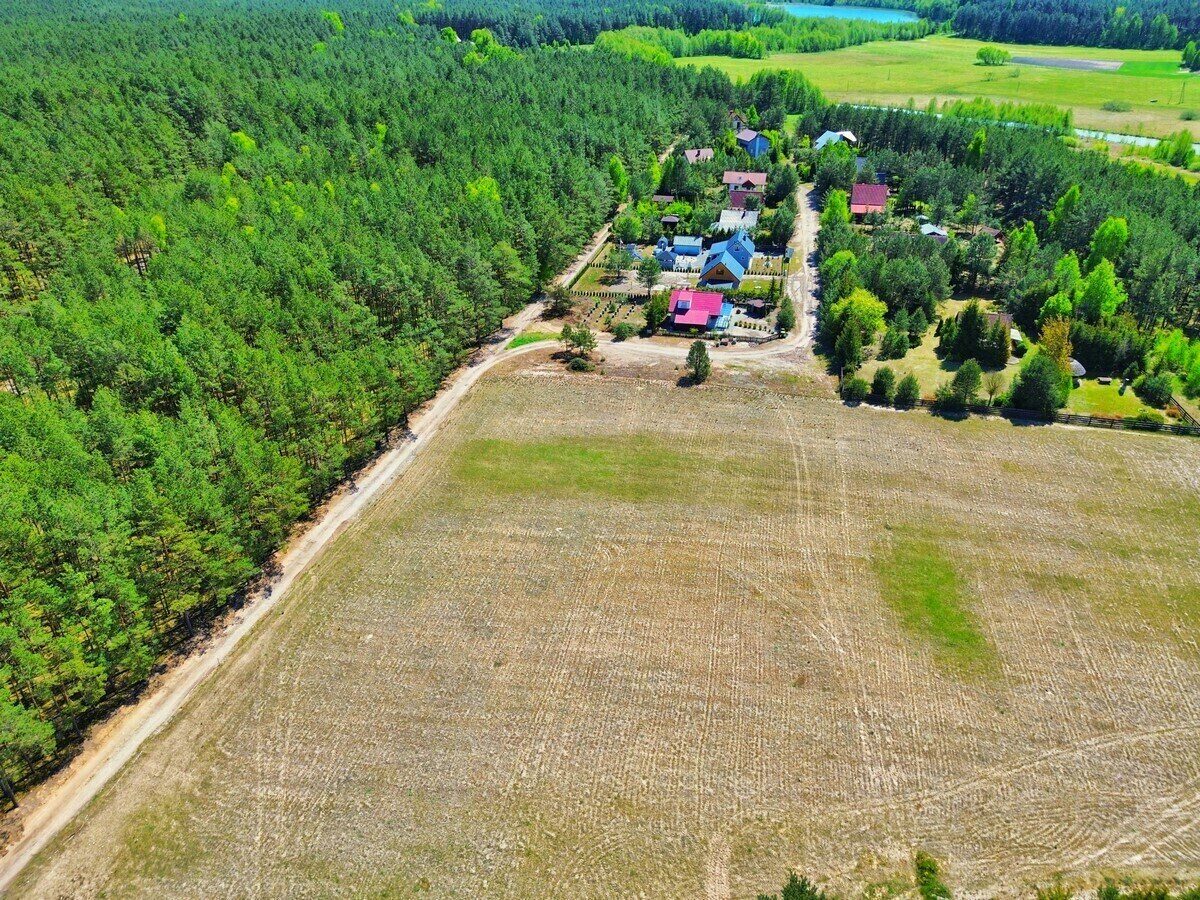 Zdjęcie 8