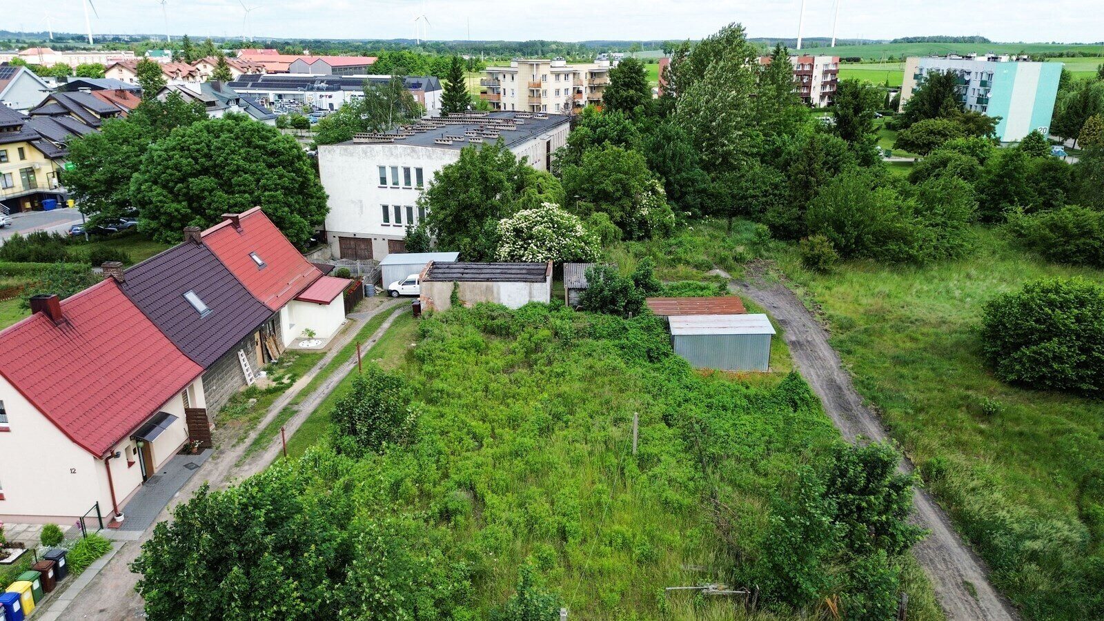 Zdjęcie 1