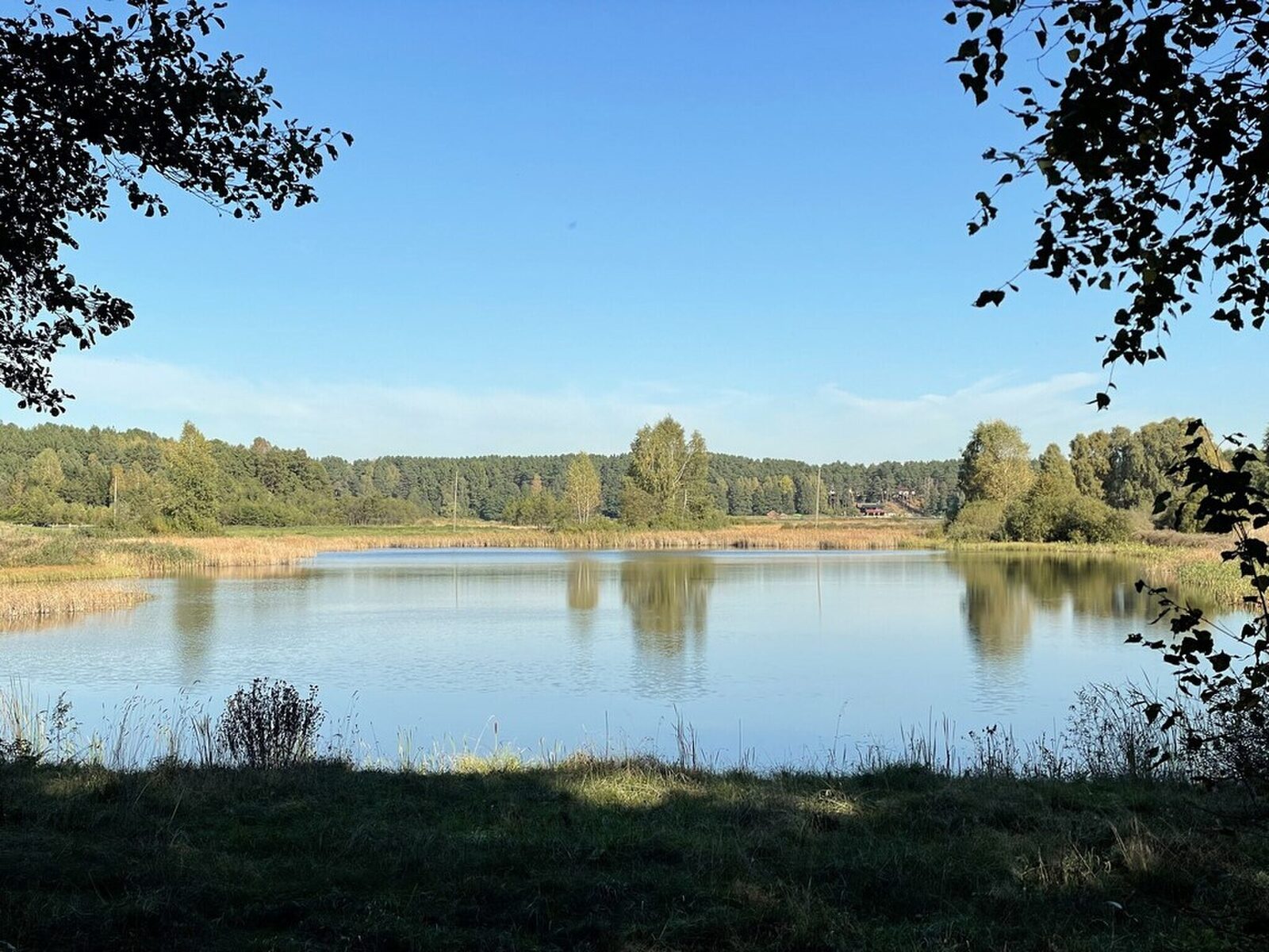 Zdjęcie 8