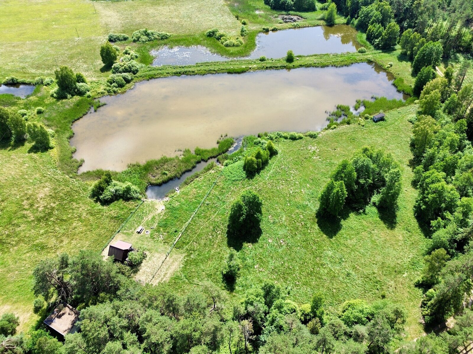 Zdjęcie 11