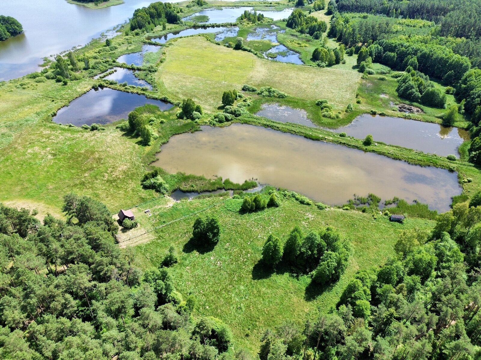 Zdjęcie 12