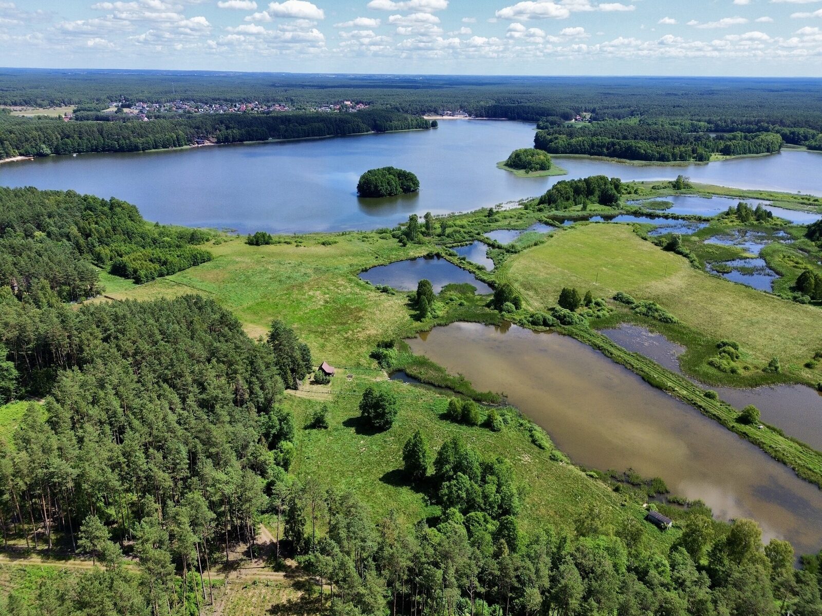 Zdjęcie 13