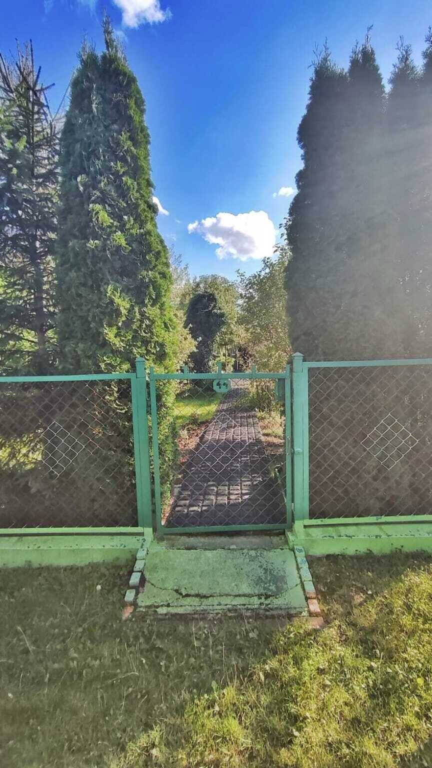 Zdjęcie 10