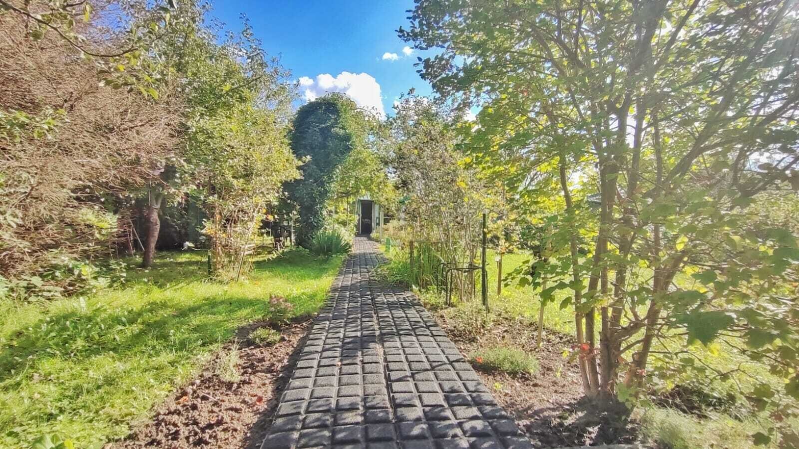 Zdjęcie 1