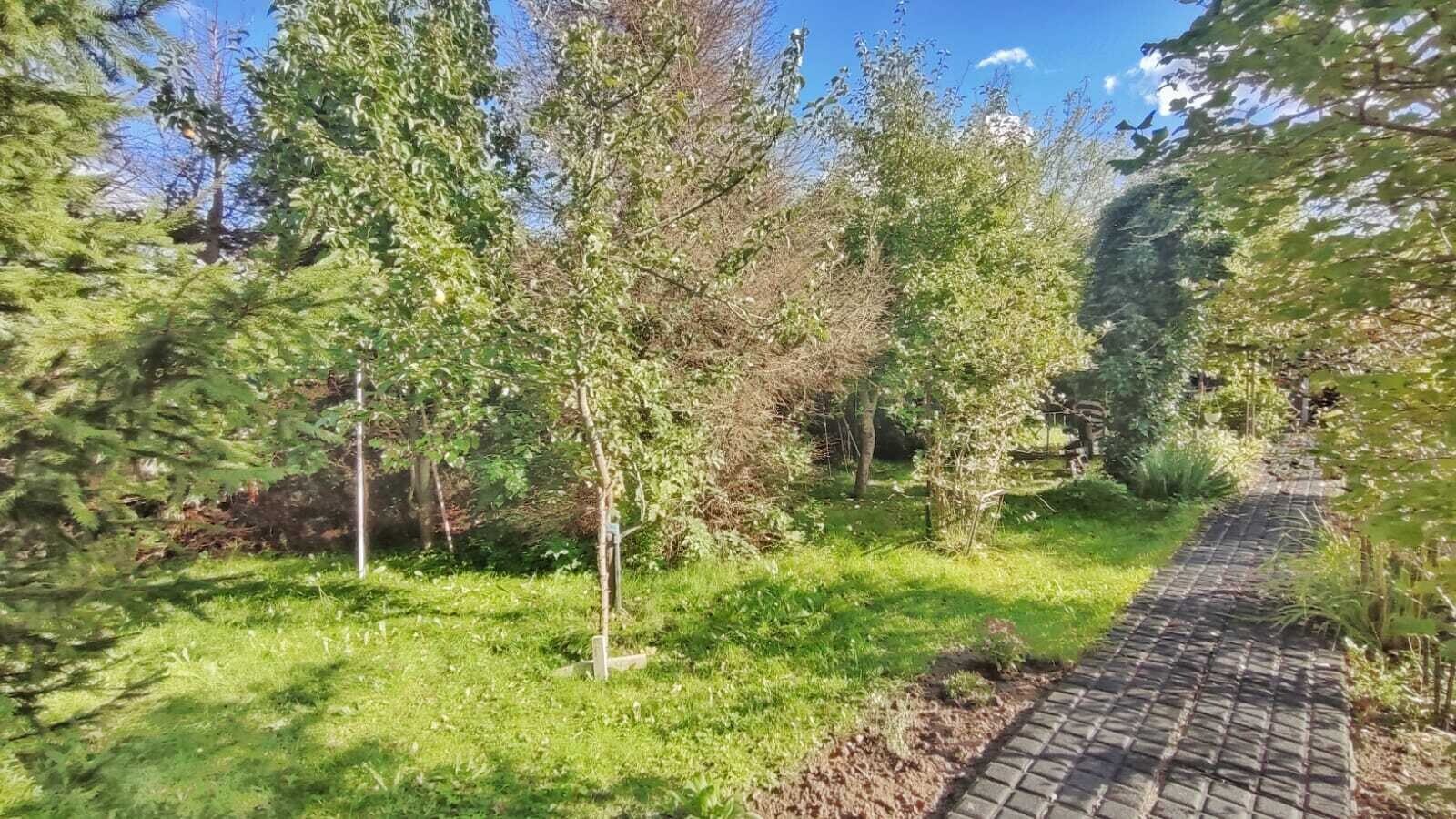 Zdjęcie 13