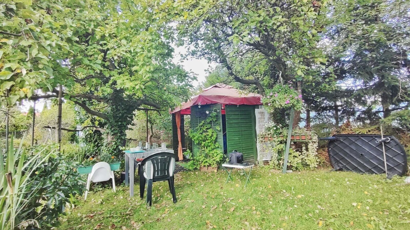 Zdjęcie 21