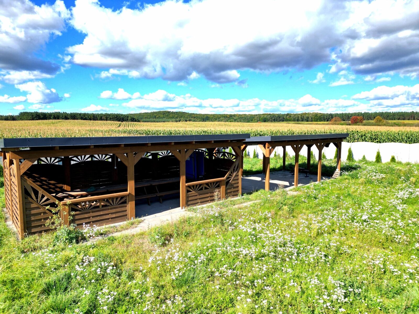 Zdjęcie 12